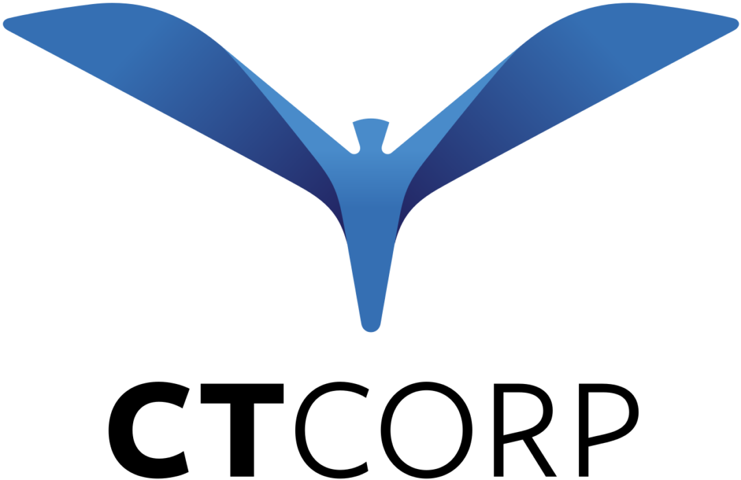 CT CORPORATION SYSTEMS LOS ANGELES JPL Process Service, LLC (866) 754